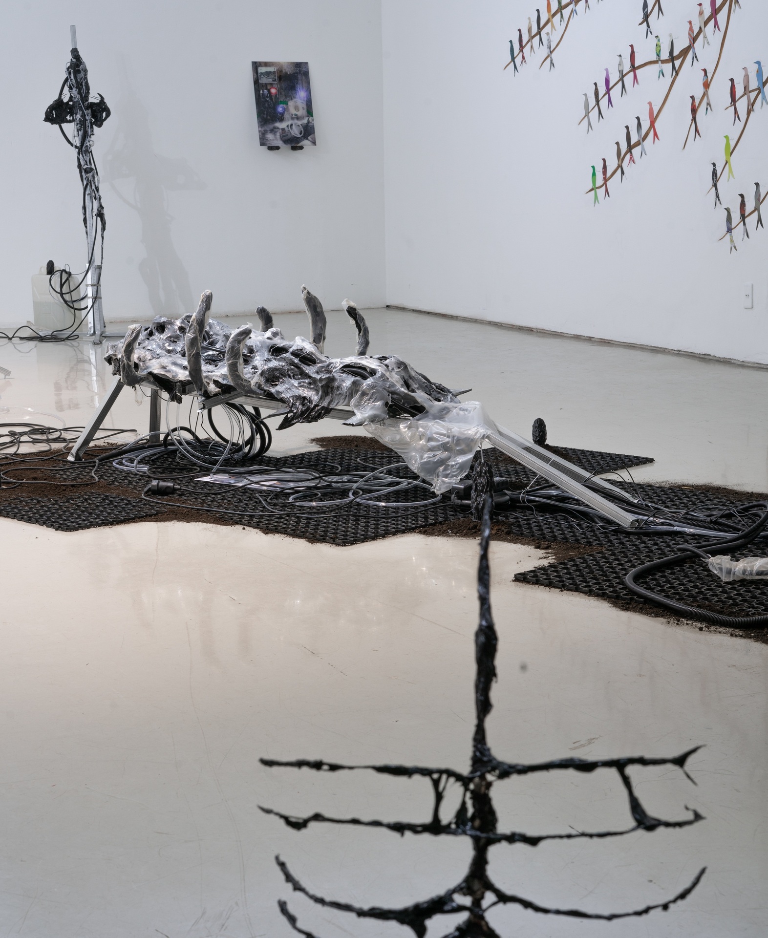 Bog Instinct - installation view